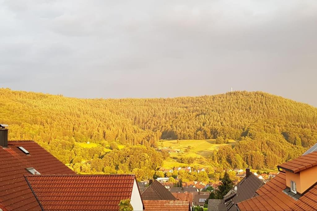 Ferienwohnung Talblick Im Schwarzwald Seelbach  Exterior photo