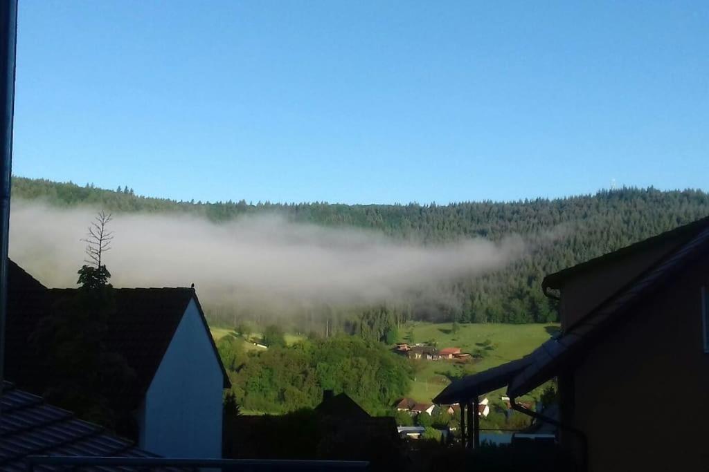 Ferienwohnung Talblick Im Schwarzwald Seelbach  Exterior photo