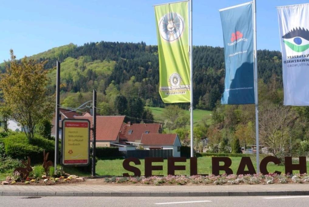 Ferienwohnung Talblick Im Schwarzwald Seelbach  Exterior photo