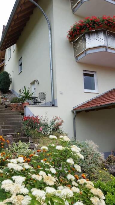 Ferienwohnung Talblick Im Schwarzwald Seelbach  Exterior photo